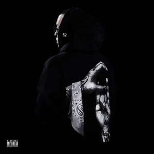 美乃雀破坏版无码
