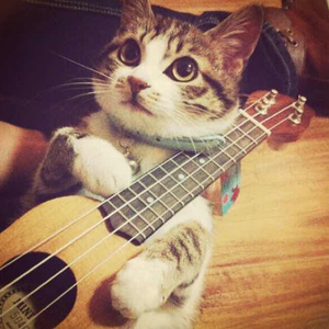 美乃雀破坏版无码
